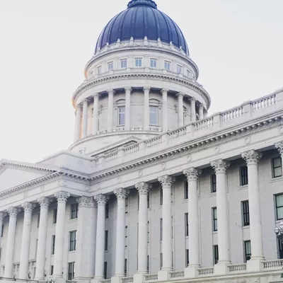 Government Organization